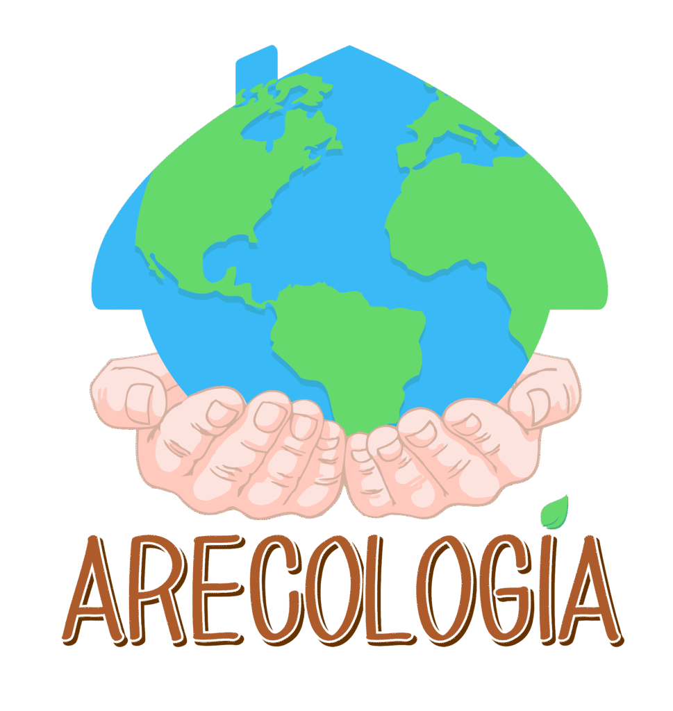 Arecologia png