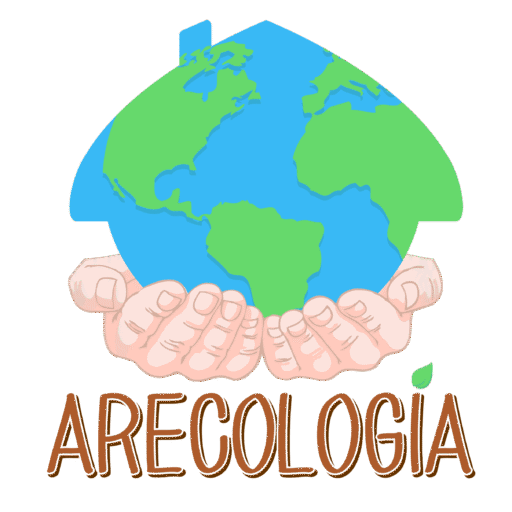 Arecologia png
